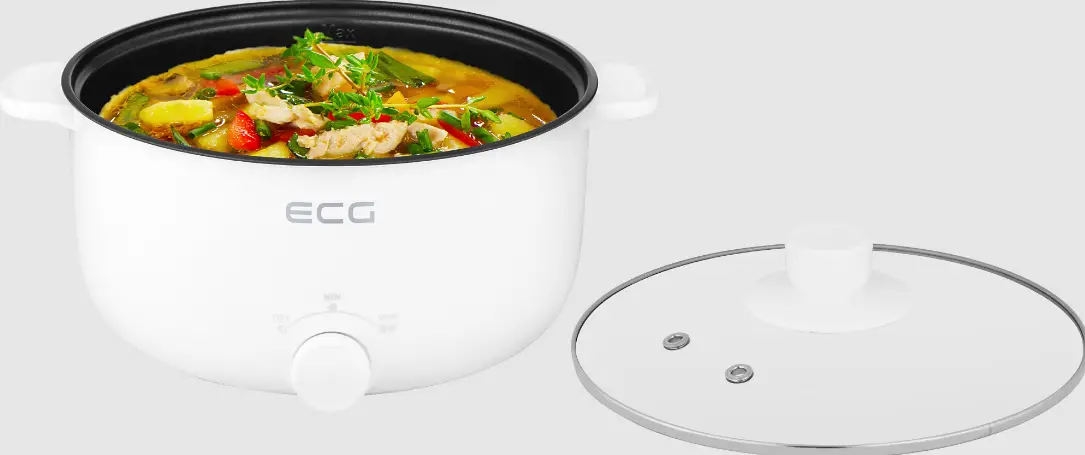 ECG-EH-1886-Double-Electric-Pot-product-image