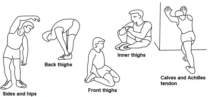 insportline Leverage Squat Calf Machine Body Solid - body solid 2