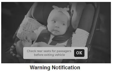 tinytraveler TT002B HD Wireless Baby Monitor For Your Car-FIG18