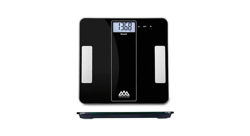 Camry If1010ar Smart Body Fat Scale Instruction Manual Camry If1010ar Smart Body Fat Scale Instruction Manual