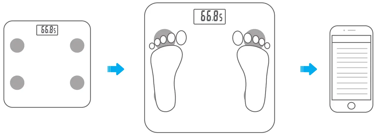 camry IF1010AR Smart Body Fat Scale - fig 2