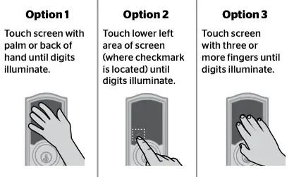 Activating the Screen