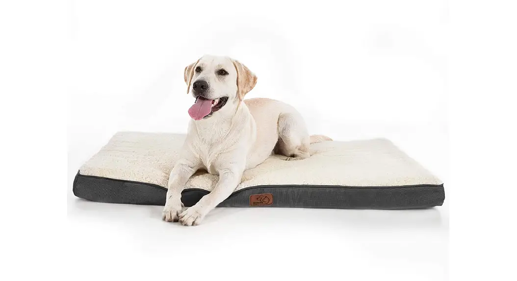 Kennel G21 Ken 886 Dog Bed User Manual Kennel G21 Ken 886 Dog Bed User Manual