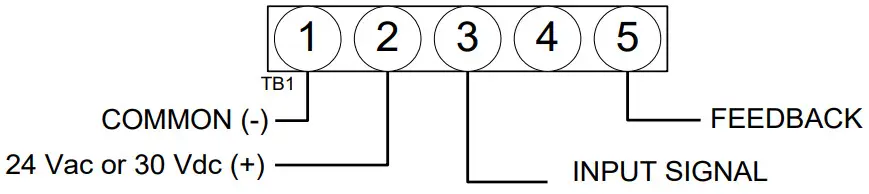 neptronic TM100FN Fast Actuator - Analog low voltage