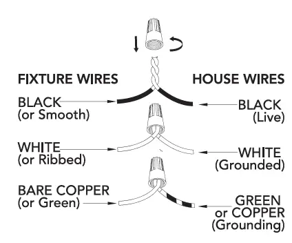 Hunter-19686-19687-Gatz-2