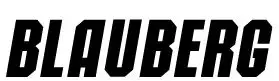 BLAUBERG-LOGO