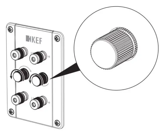 FIG 13 Bi-wired setting.JPG