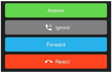 GoPioneer Connect iPhone Mobile App - Figure 2