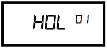 NOTIFIER MC1 Master Clock System - HOLIDAY