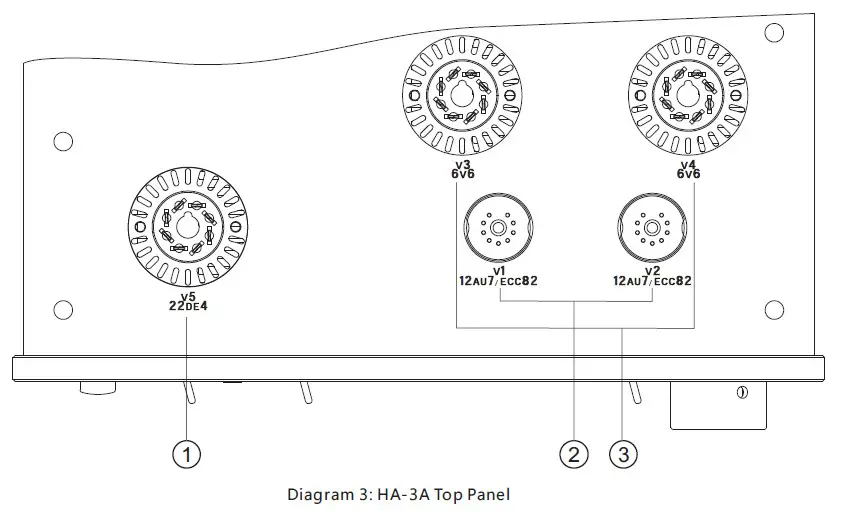 Cayin HA-3A Headphone Amplifier (5)