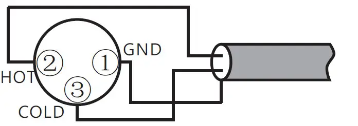 Cayin HA-3A Headphone Amplifier (7)