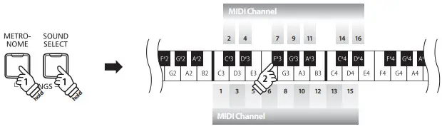 KAWAI MIDI KDP- setting