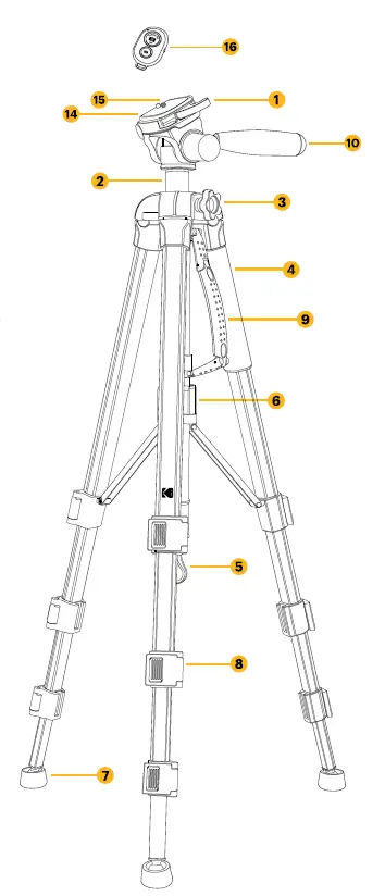 KODAK PhotoGearTripod fig 2