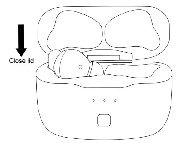 Shenzhenshi Youguangxin Keji Kaifa Youxian Gongsi F02 True Wireless Earbuds Instructions - Charge the Earbuds