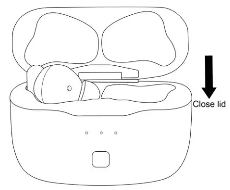 Shenzhenshi Youguangxin Keji Kaifa Youxian Gongsi F02 True Wireless Earbuds Instructions - POWER OFF