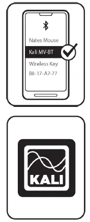 KALI-MV-BT-Project-Mountain-View-Bluetooth-Input-Module-4