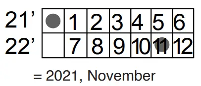 SKYTECH CON1001TH-1 Remote Control - DISPLAY13