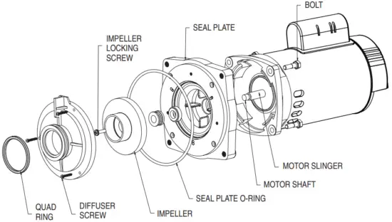 Motor Assembly