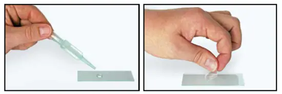 BRESSER-9203820000000-Oxford-40x-2000x-Microscope-7