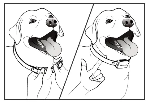 DR-TRAINER-B1SPRO-Smart-Bark-Collar-FIG-63