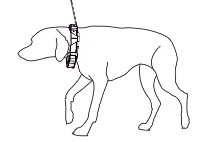 Garmin Alpha 200i Dog Tracking Handheld-14