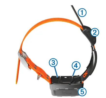 Garmin Alpha 200i Dog Tracking Handheld-3