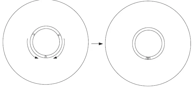 Pablo-BEL-OCCHIO-Table-Lamp-FIG-5