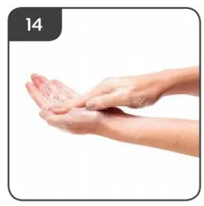 Instructions Tommee Tippee Closer to Nature Electric Steam Steriliser