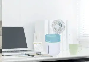 Mini Mist Fan