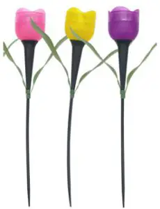Coopers Pk6 Tulip Solar Lights H261