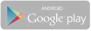 Google play Icon