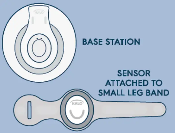 Halo Innovations 4802 SleepSure Sensor -