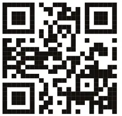 Strips 1104022 Z Wave Controller - qr