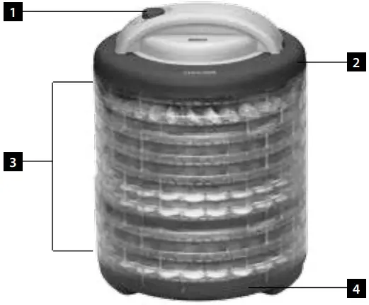 concept SO 2010 Fruit Dehydrator A