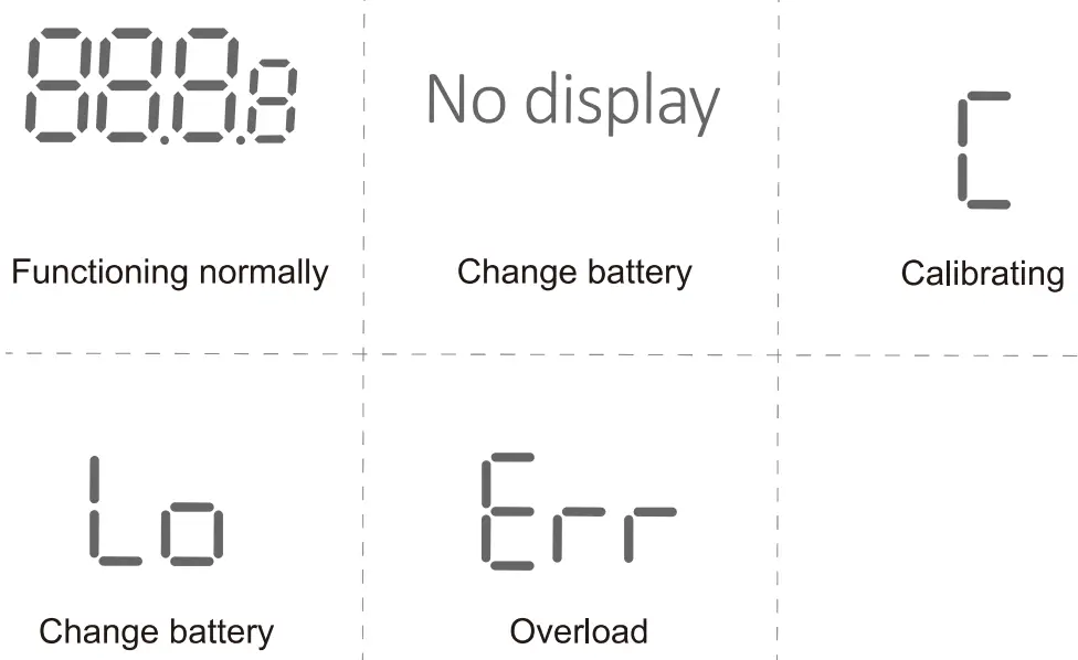 Hangzhou-Zheben-Import-Export-FLTSEC-Smart-Scale-fig-2