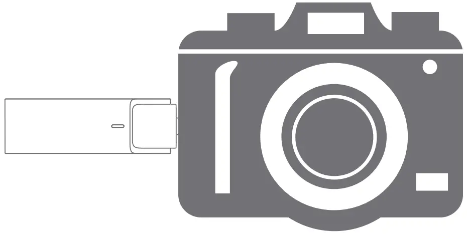 VIKING M302 Wireless Microphone