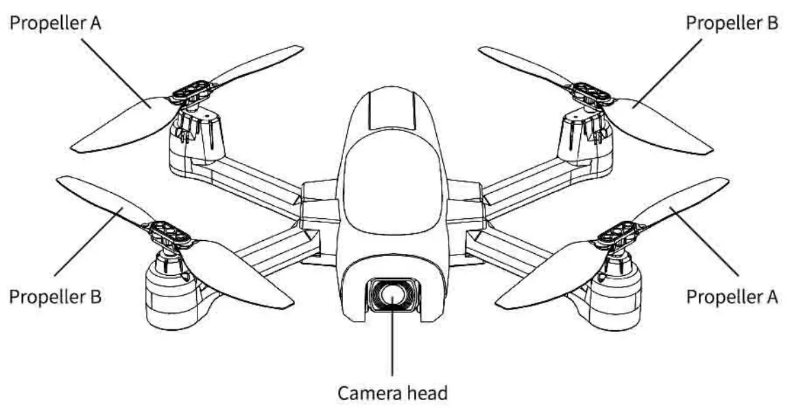 INTRODUCTION TO FLYERS