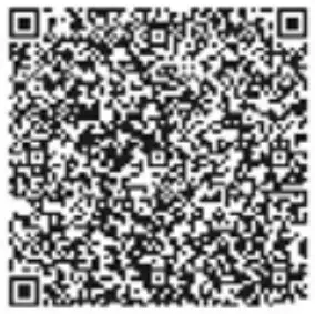 BRAYER BR1202 Blenders Submersible Kitchen Chopper Food Mixer - QR Code