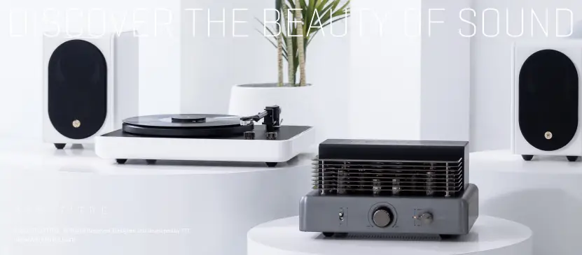 TRETTITRE T LP8 Bluetooth Turntable - Fig 2