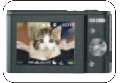 ZOSTUIC DC311AF Digital Camera 07