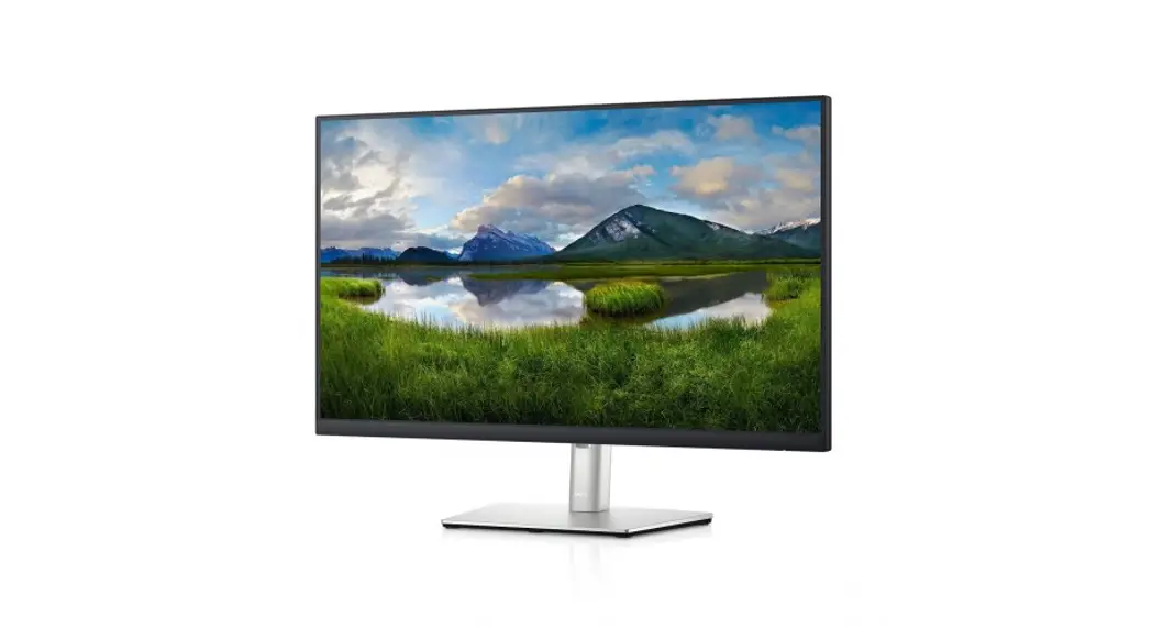 Dell 27 Monitor P2721q User Guide