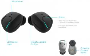 SKYBUDS BASICS
