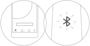 First Ride Induction