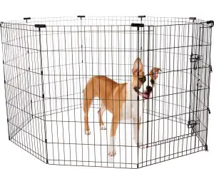 Retriever Step-Thru Exercise Pen