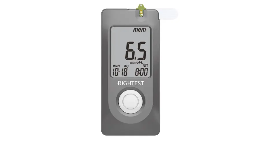 Rightest Gm232c Elsa Blood Glucose Meter User Guide