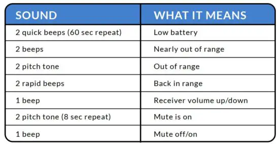FIG 4 AUDIO SIGNALS.JPG