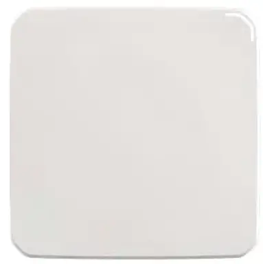 Wistron NeWeb RXAM-JD1 Access Point