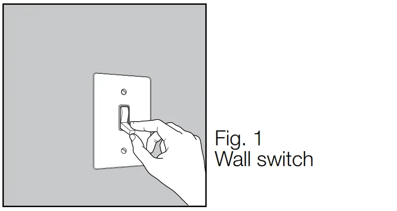 globe 61271 Flush Mount 3