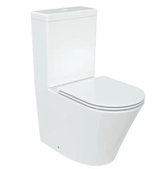 Wellis-WF00110-Clement-Monoblock-Rimless-Toilet