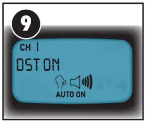 DAYLIGHT SAVING TIME